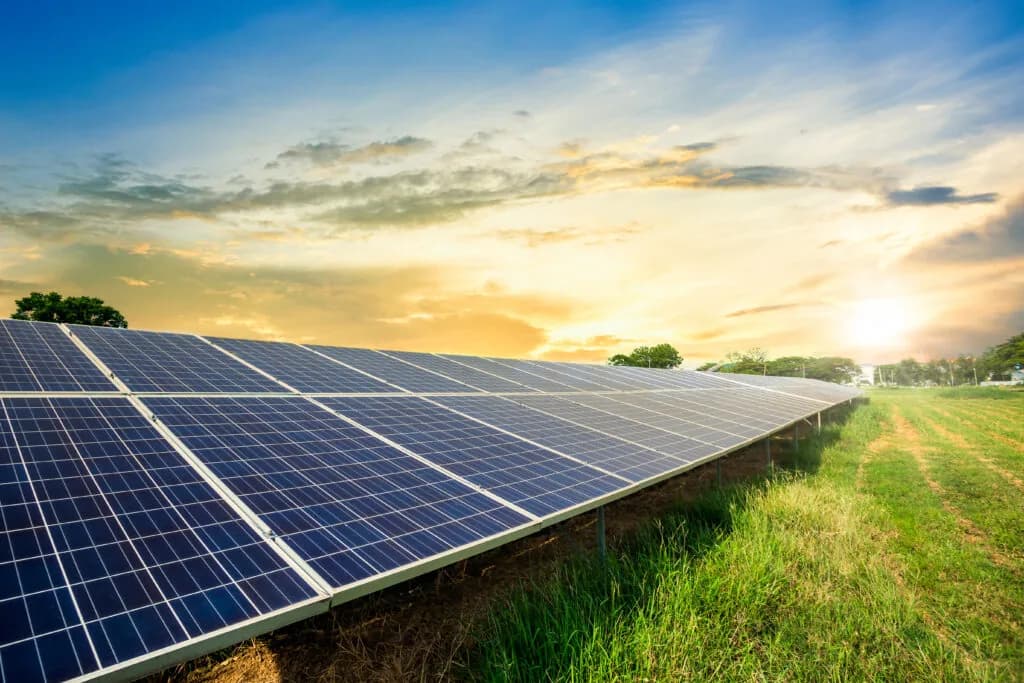 Rânduri de panouri fotovoltaice într-un parc solar, pe câmp